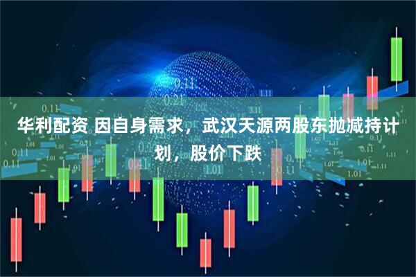 华利配资 因自身需求，武汉天源两股东抛减持计划，股价下跌
