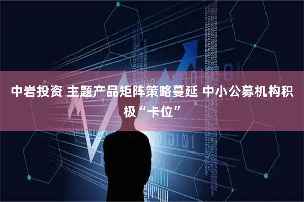 中岩投资 主题产品矩阵策略蔓延 中小公募机构积极“卡位”